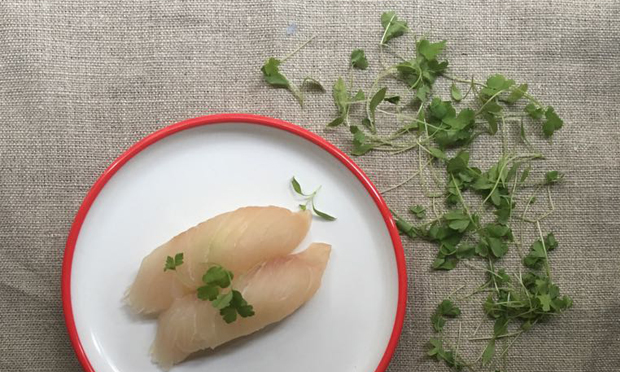 Yellow Tail nigiri