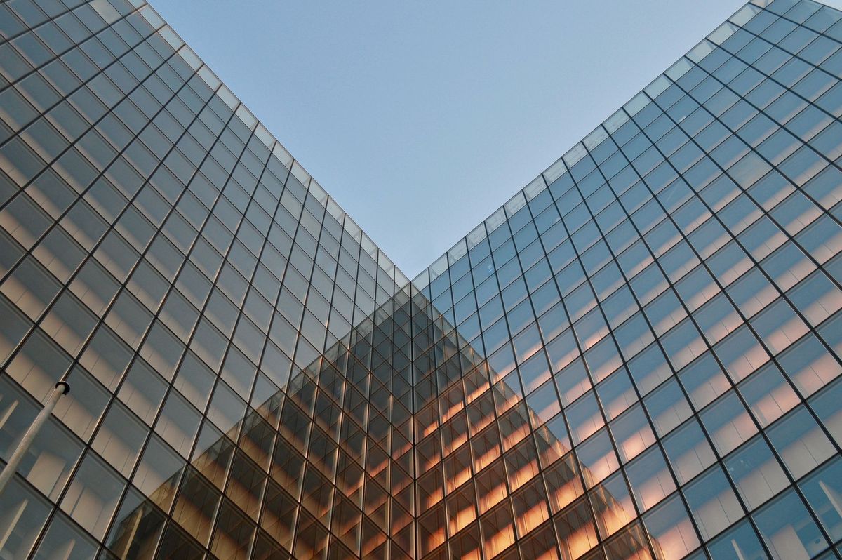 What Is A Company For? Shaping Chaos Issue 5