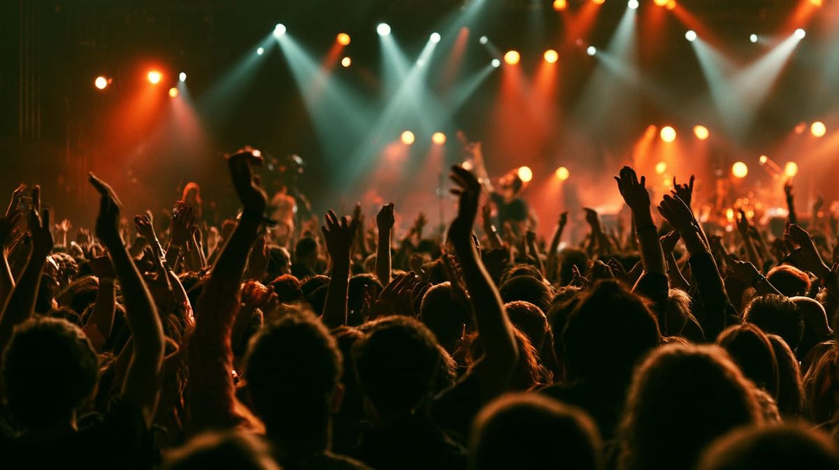 image of fans at a rock concer