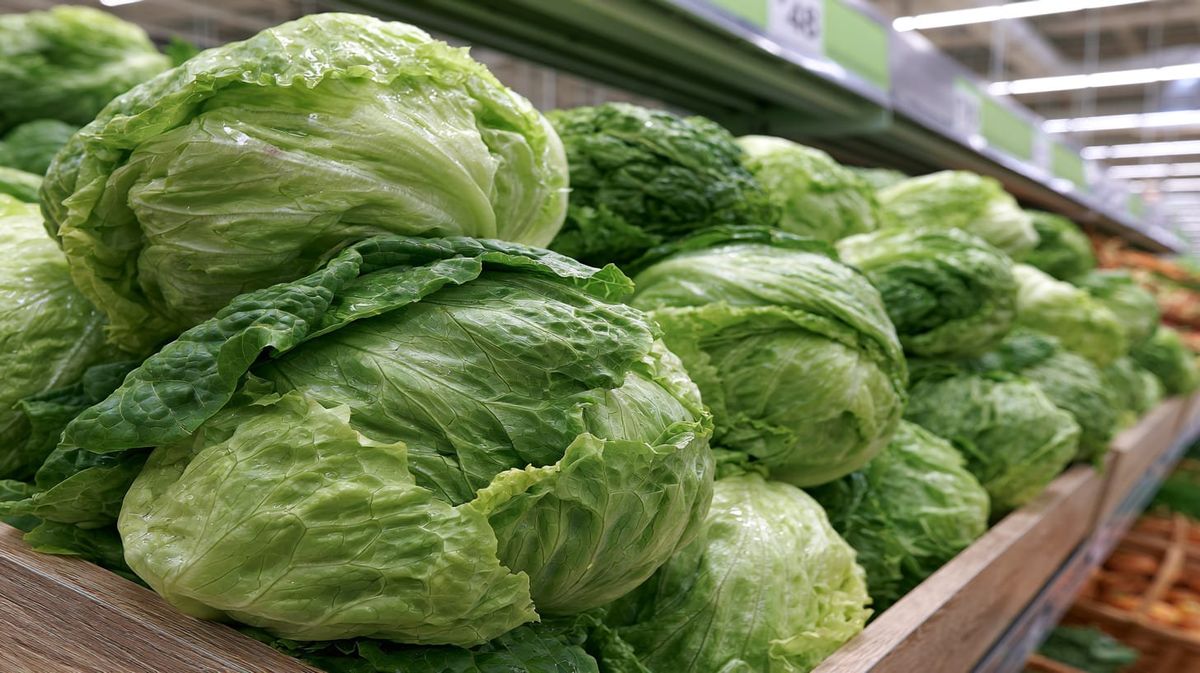 image of heads of lettuce