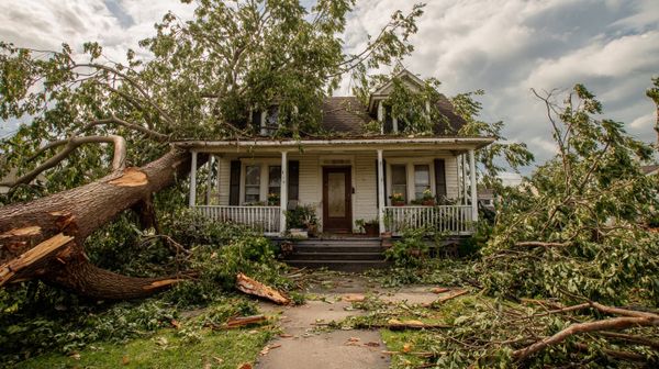 Protecting vulnerable communities: How nonprofits can combat disaster