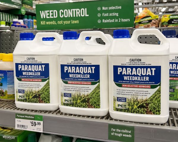 Vermont becomes first state to ban paraquat weedkiller tied to Parkinson’s disease
