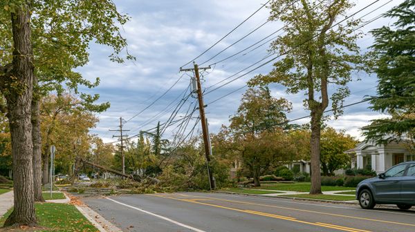When the grid goes down: Are home batteries worth the premium over standby generators?