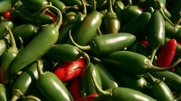 an image of jalapeno peppers