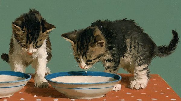 image of kittens drinking milk