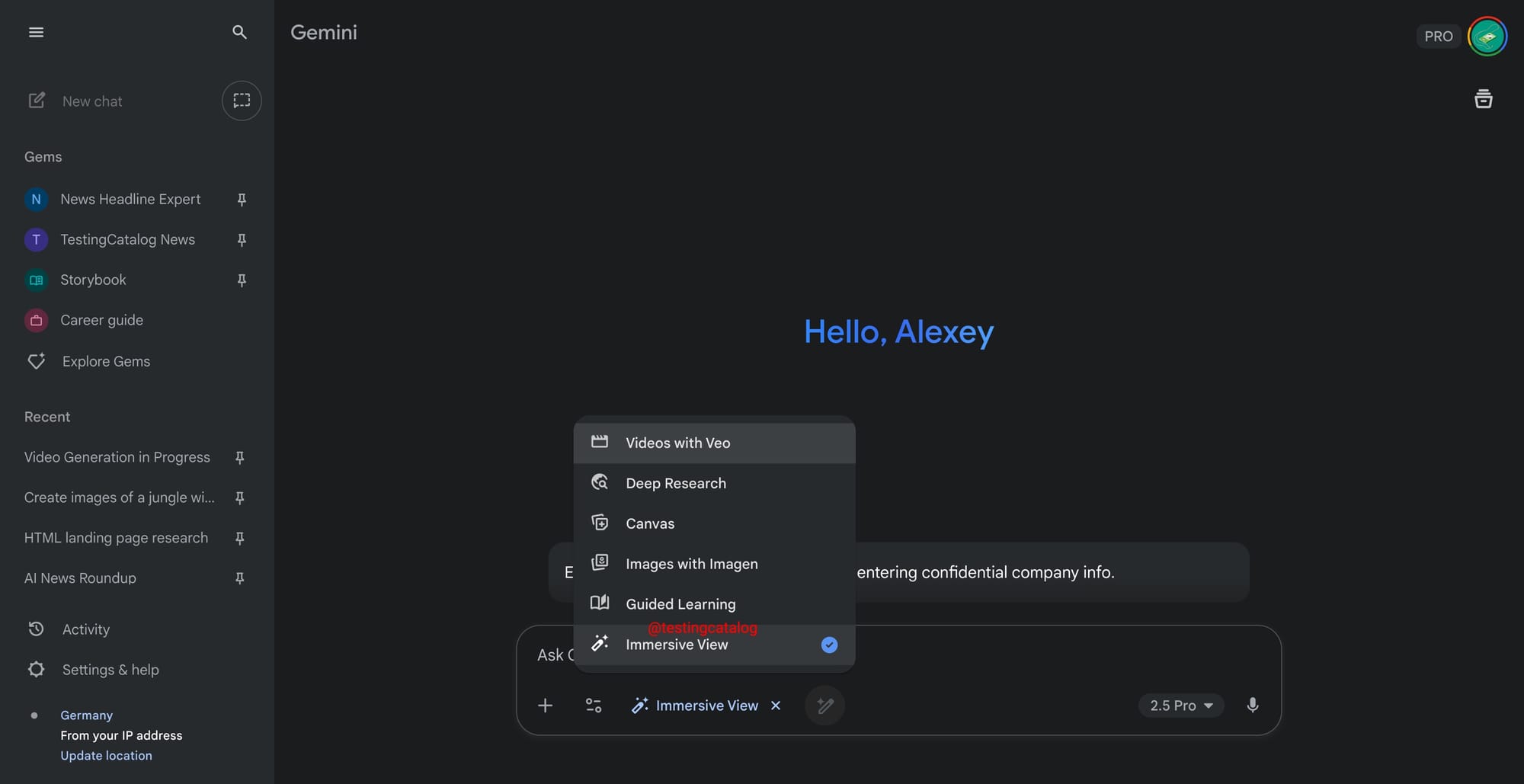 Gemini - Immersive View