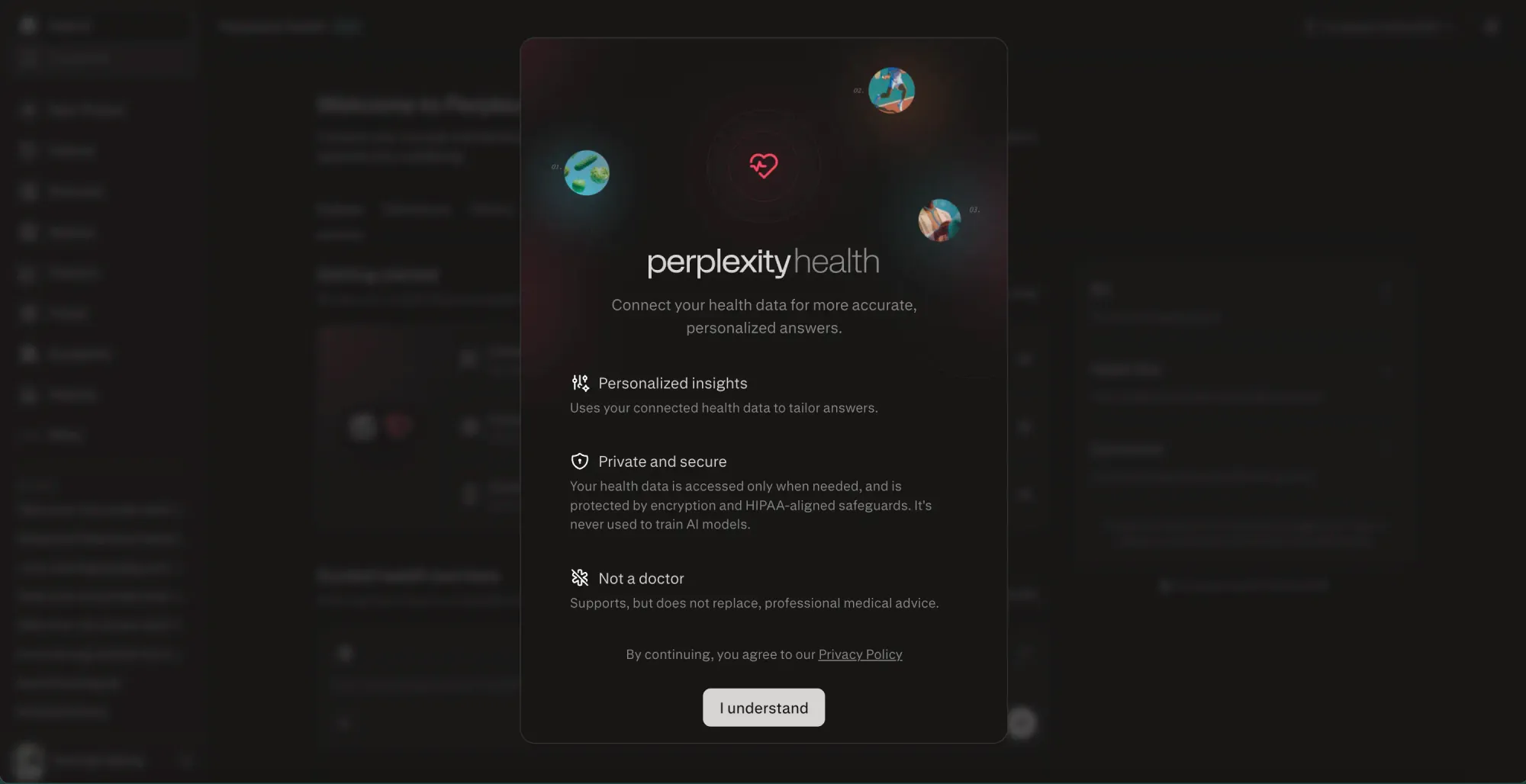 Perplexity
