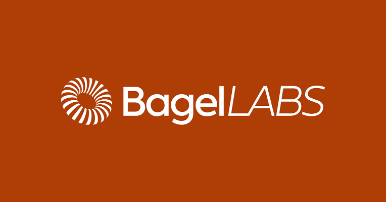 Bagel Labs launches WorldDiT world model for robotics