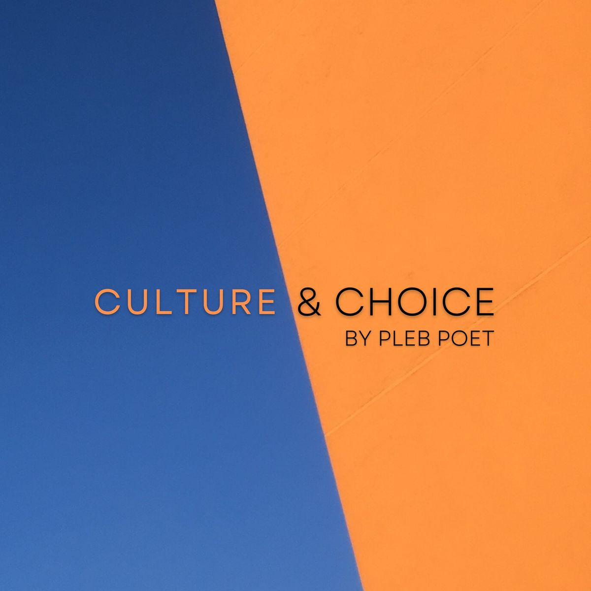 Culture and Choice by Pleb Poet