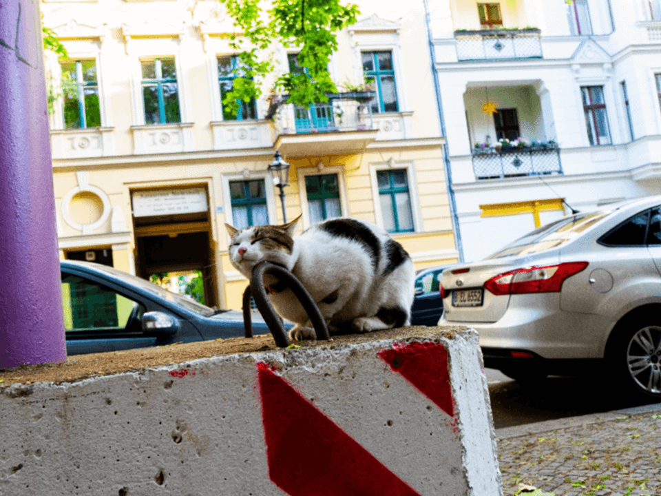 Vertrauen: Die unsichtbare Infrastruktur dieser Stadt