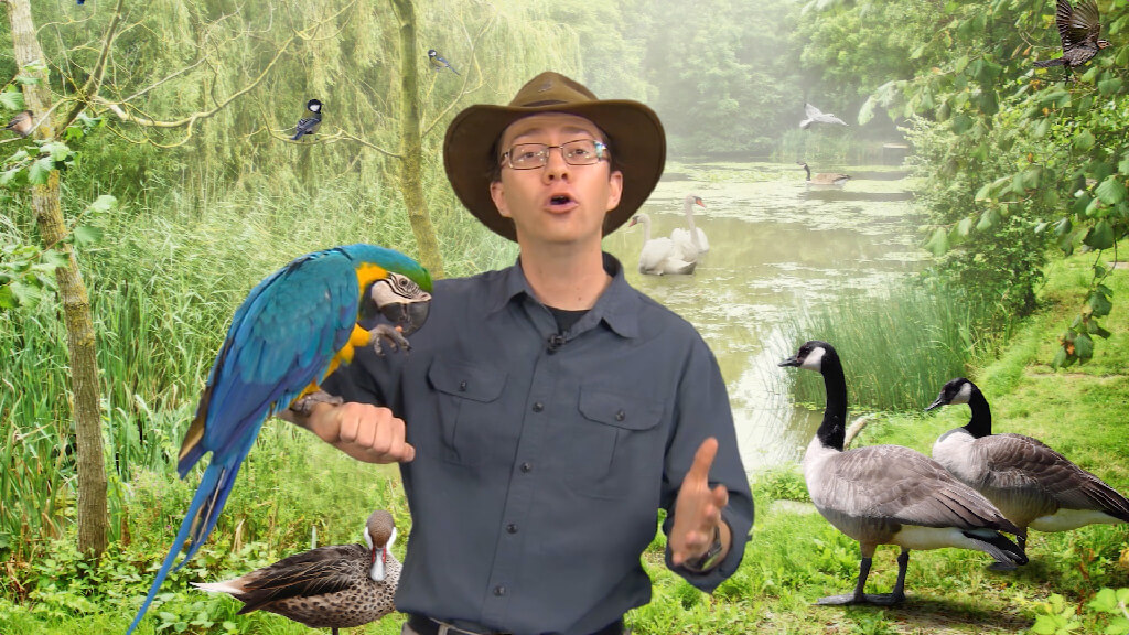 Theropod---Presenter