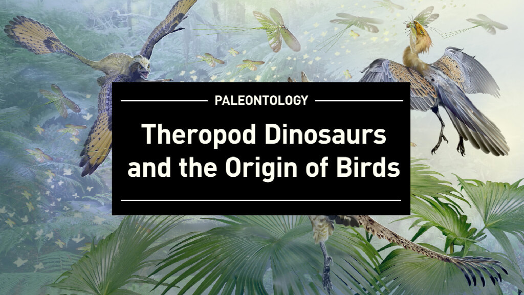 Theropod---Title-Card