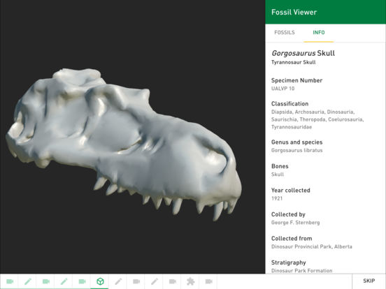 dino-101-ipad-3d