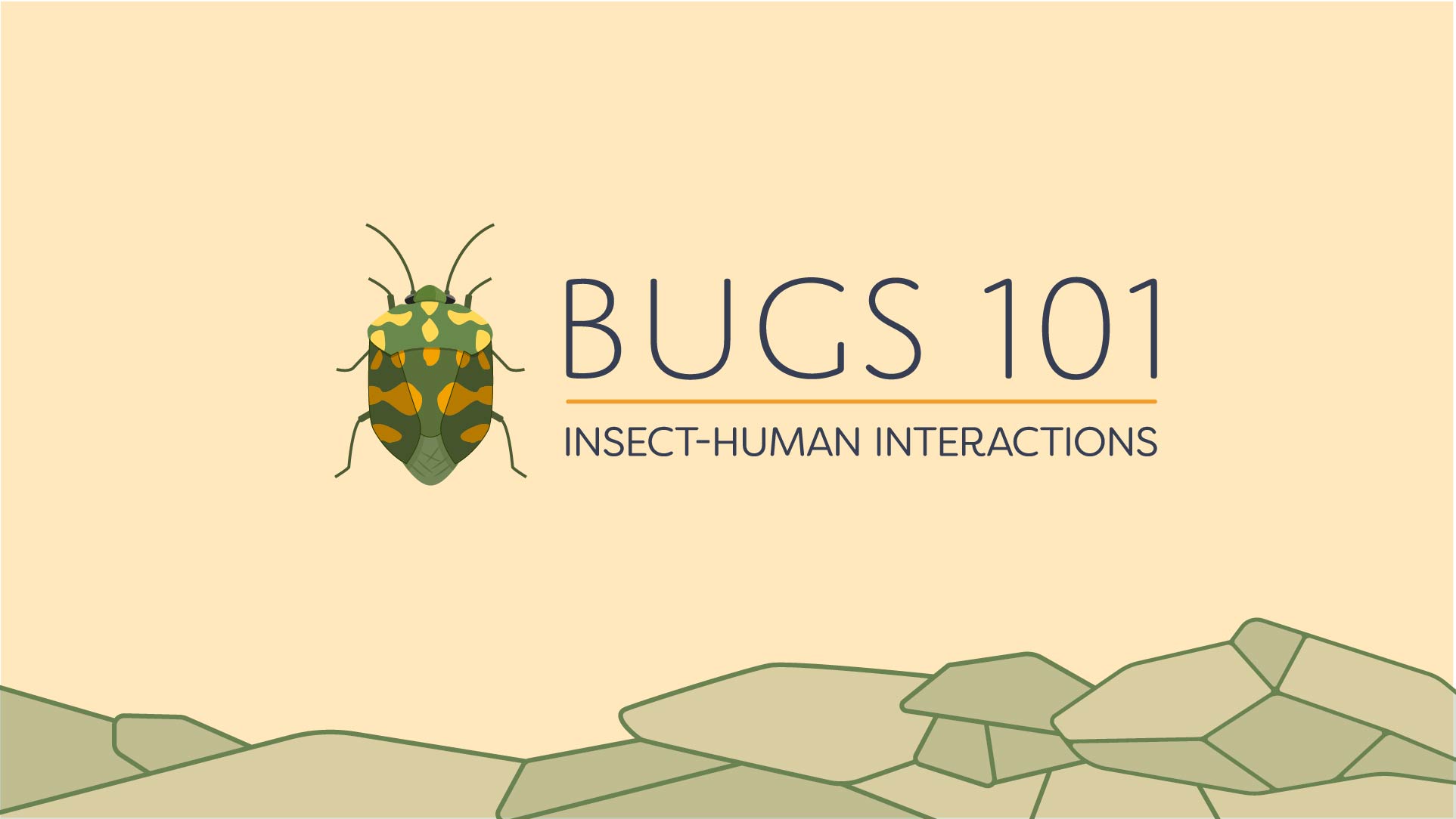 Bugs-1