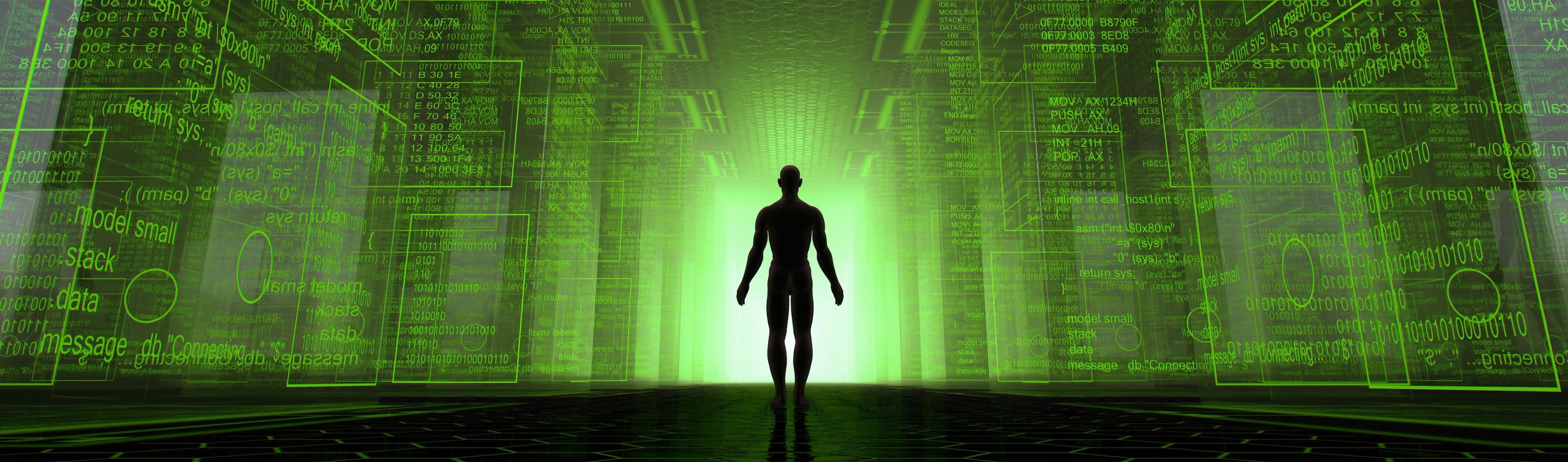 The Metaverse (image copyright 2015 by michelangelus)