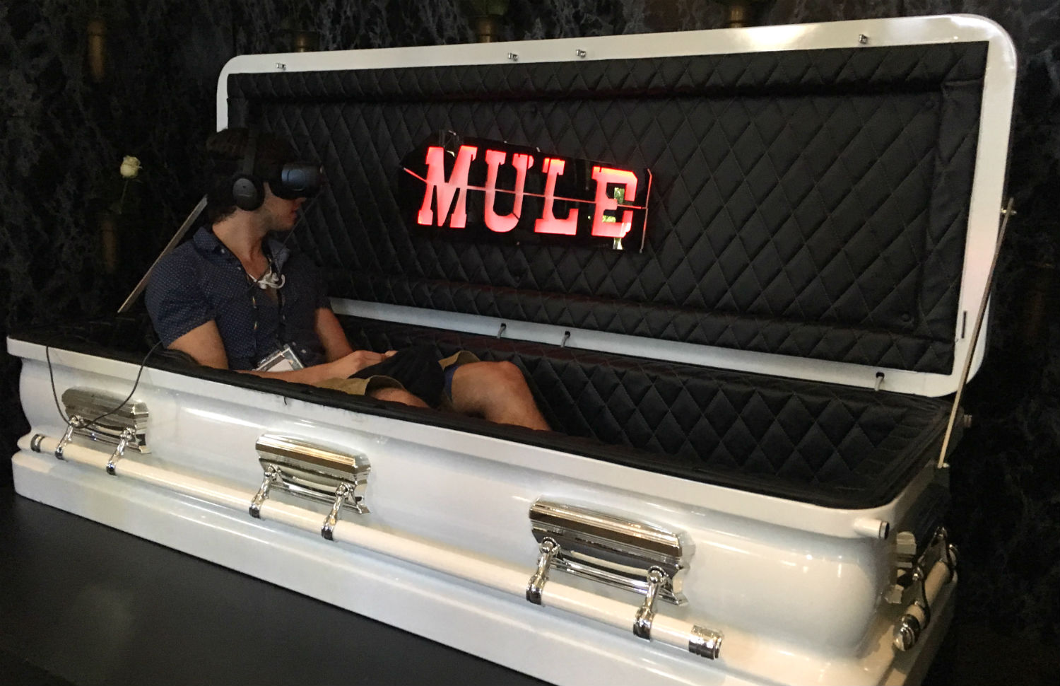 mule-coffin