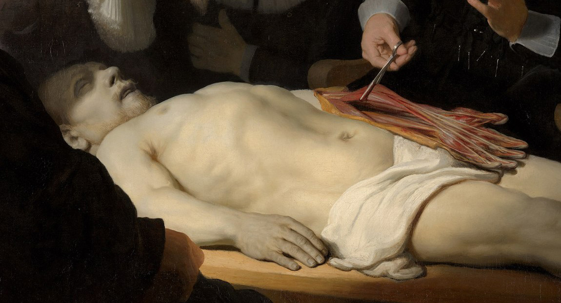 rembrandt close up ar