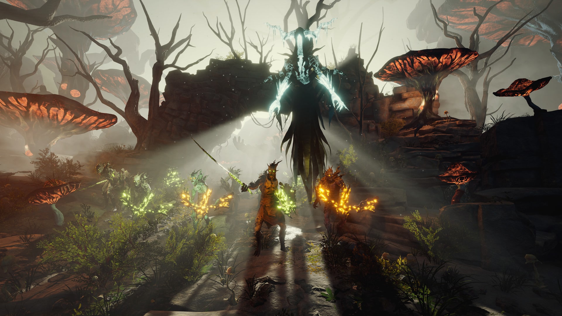 wizards dark times mushroom forest boss