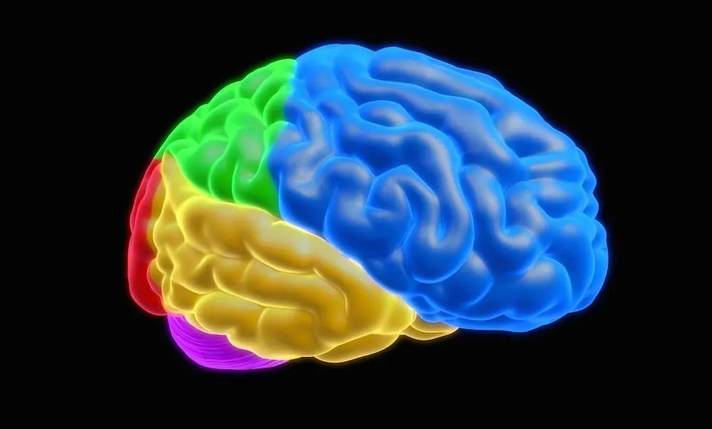 European Psychology Lab Working Toward Matrix-Level VR Immersion