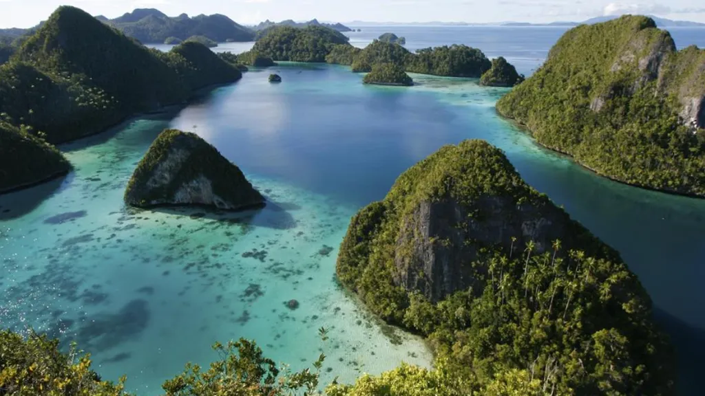 How Virtual Reality Can Be Used to Help Expose Conservation Issues