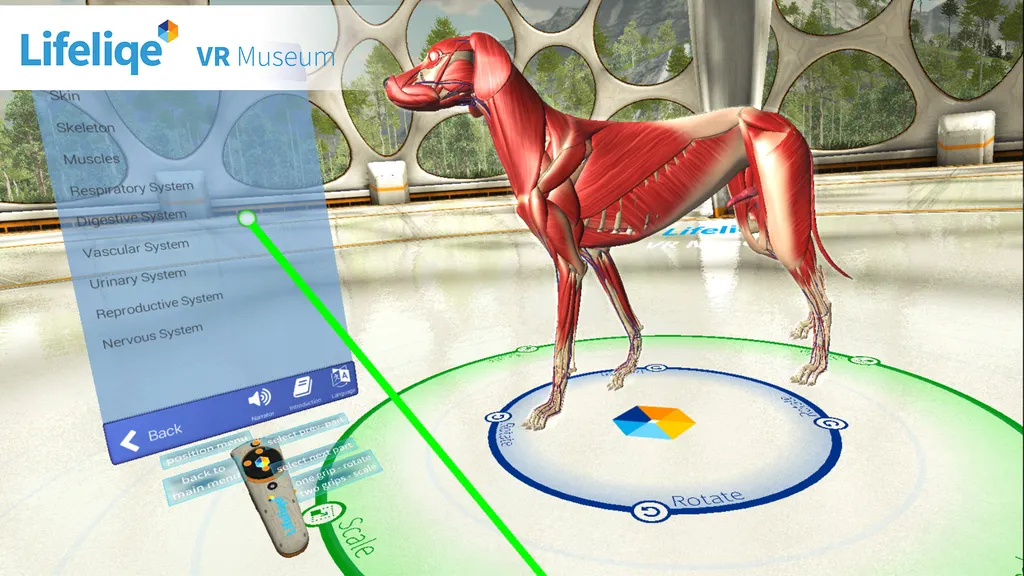 Science Teachers Report Benefits Of A VR Curriculum