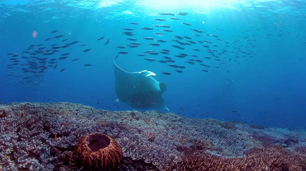 Ecosphere Brings A VR Safari To Oculus Quest Next Week