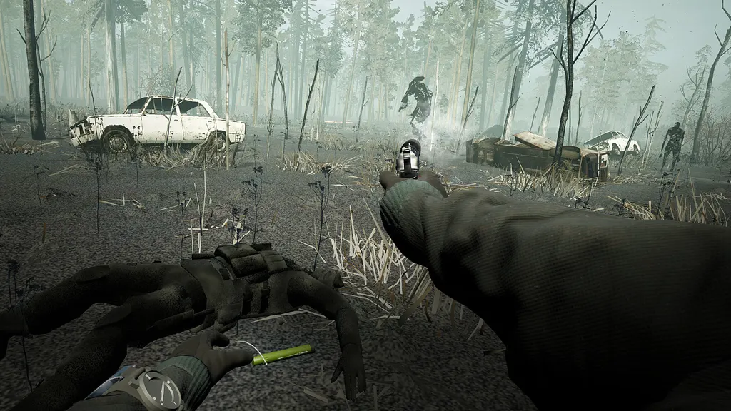 Into The Radius Review: Creeping In STALKER's Shadow