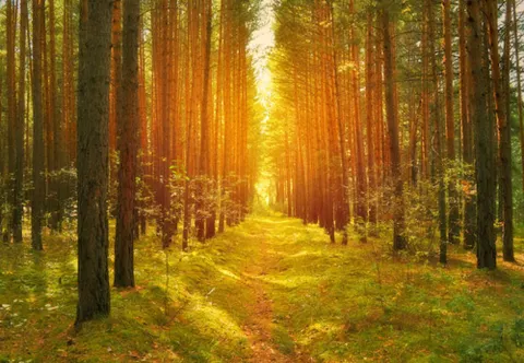 Green Screen Institute Opens Picturesque VR Accelerator Away From Silicon Valley