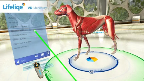 Science Teachers Report Benefits Of A VR Curriculum
