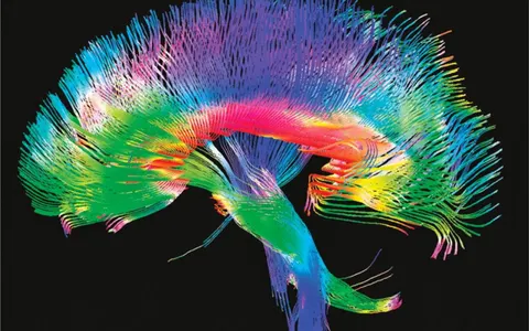 Upload SF Event: Virtual Reality And Mental Health Unconference