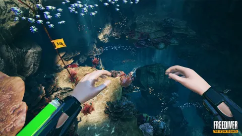 Freediver: Triton Down Review - An Underwater Adventure Better Than It Has Any Right To Be