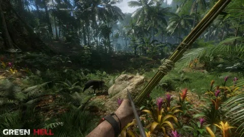 Jungle Survival Horror Game Green Hell Is Getting VR Support