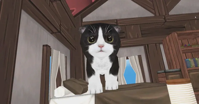 5 VR Apps For Cat Lovers On International Cat Day