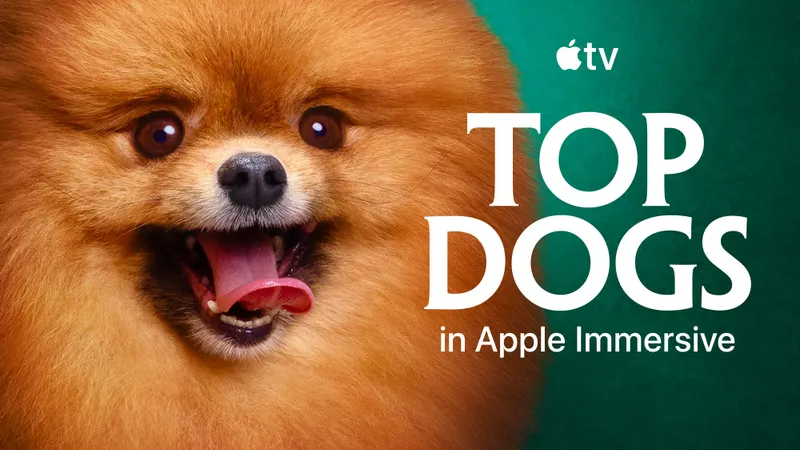 Top Dogs On Apple Immersive Brings You Up Close With Champions