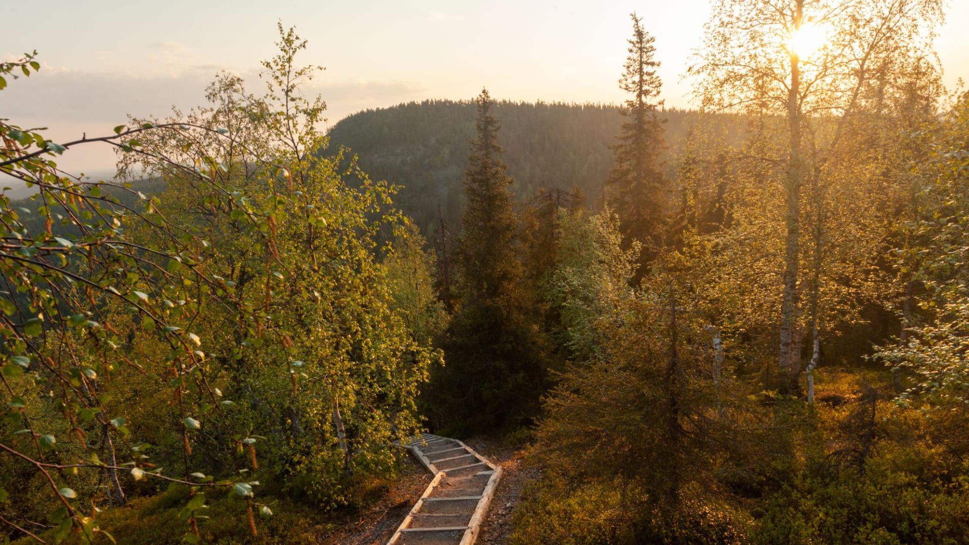 finland.trail