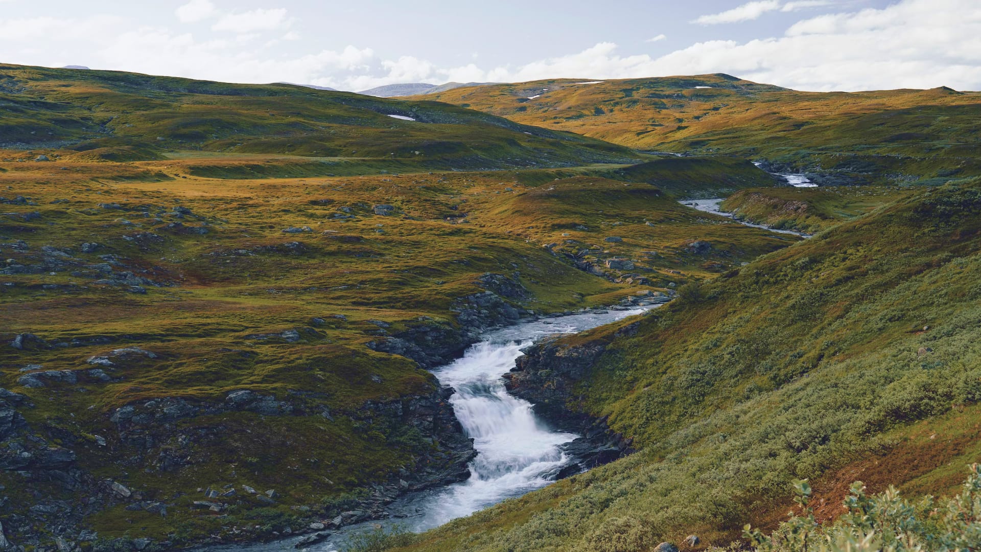 sweden-lapland