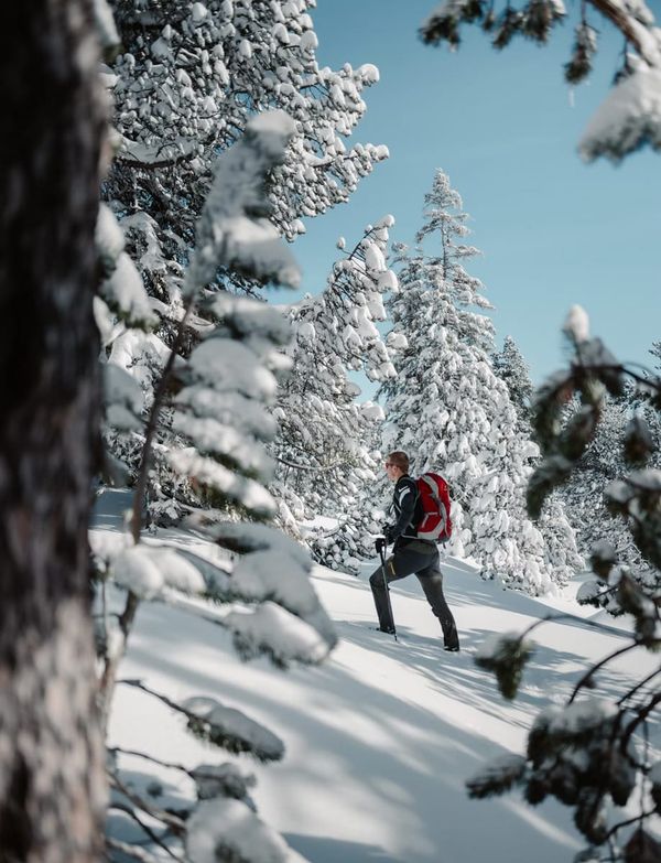 Nature will define travel in 2026