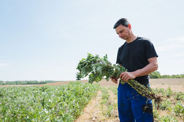 Agir avec Green-Got : FEVE