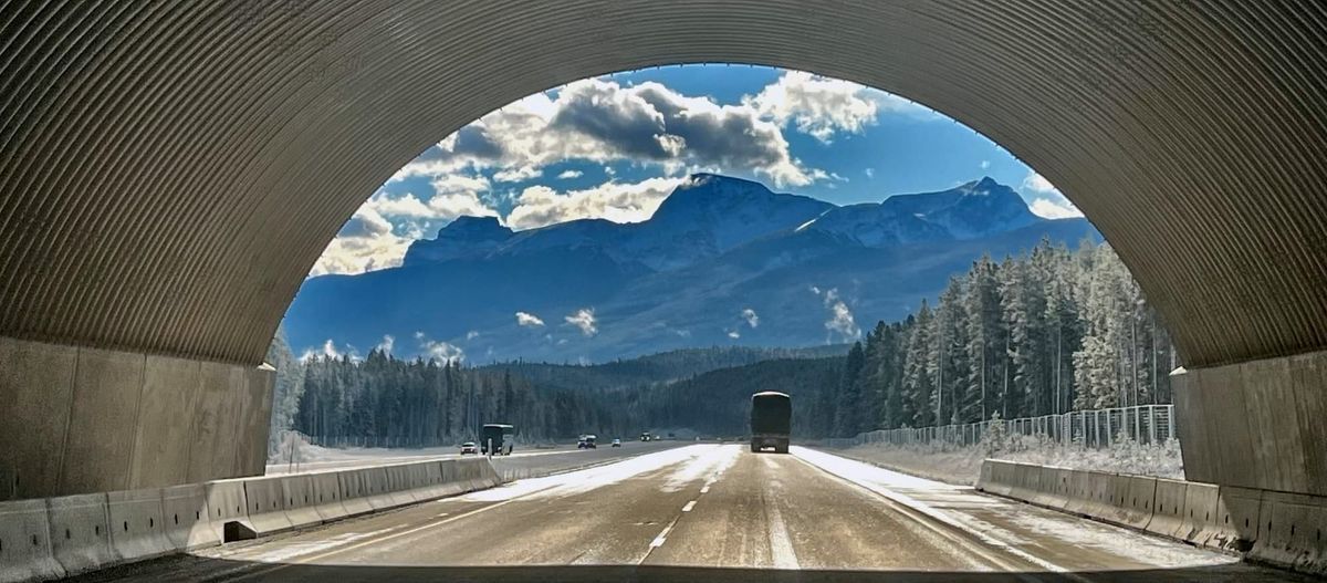 The Mental Side of Cycling: How to Push Through Tough Rides 🚴‍♀️