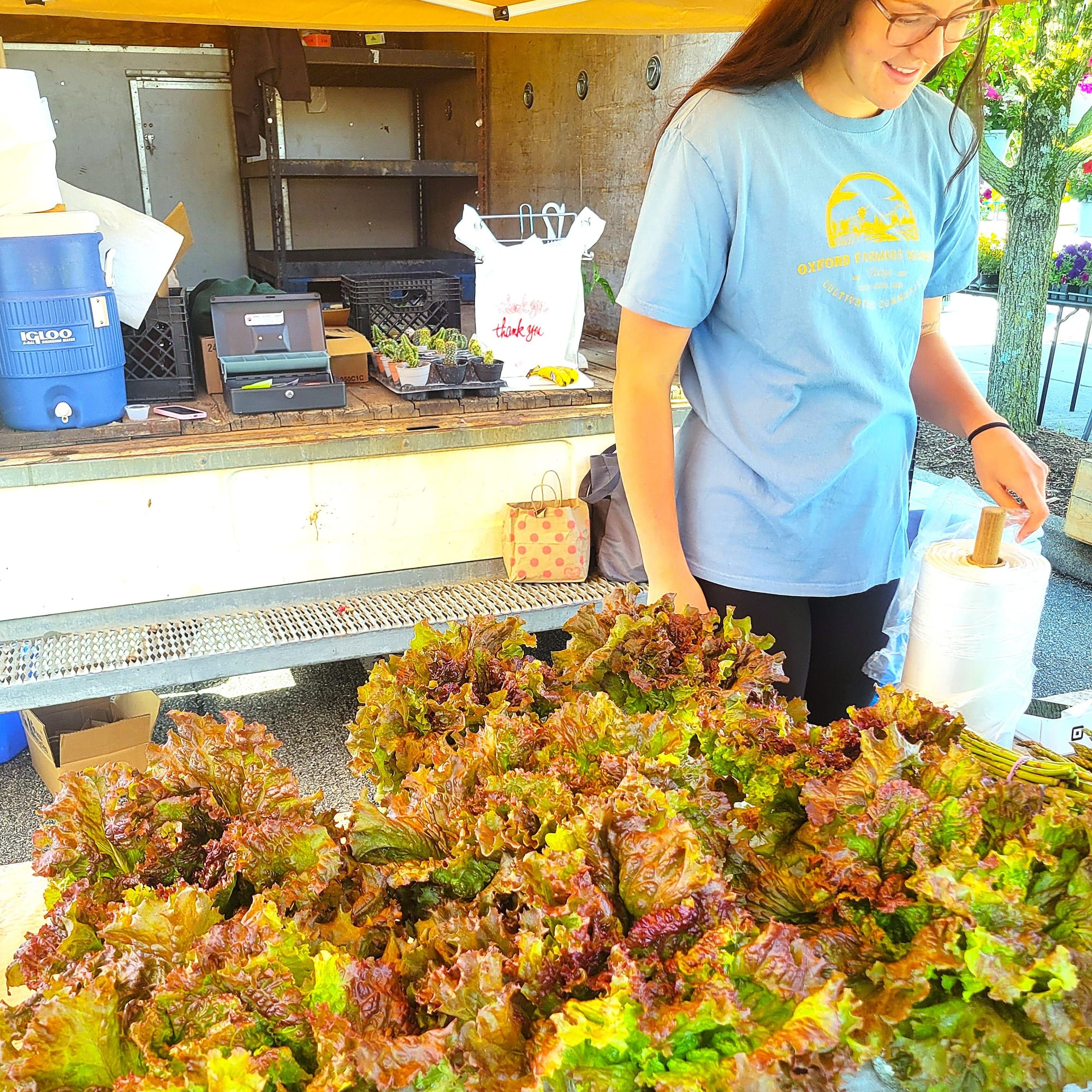 Downing Fruit Farm sells lettuce with brown and orange edges at the Oxford Farmers Market