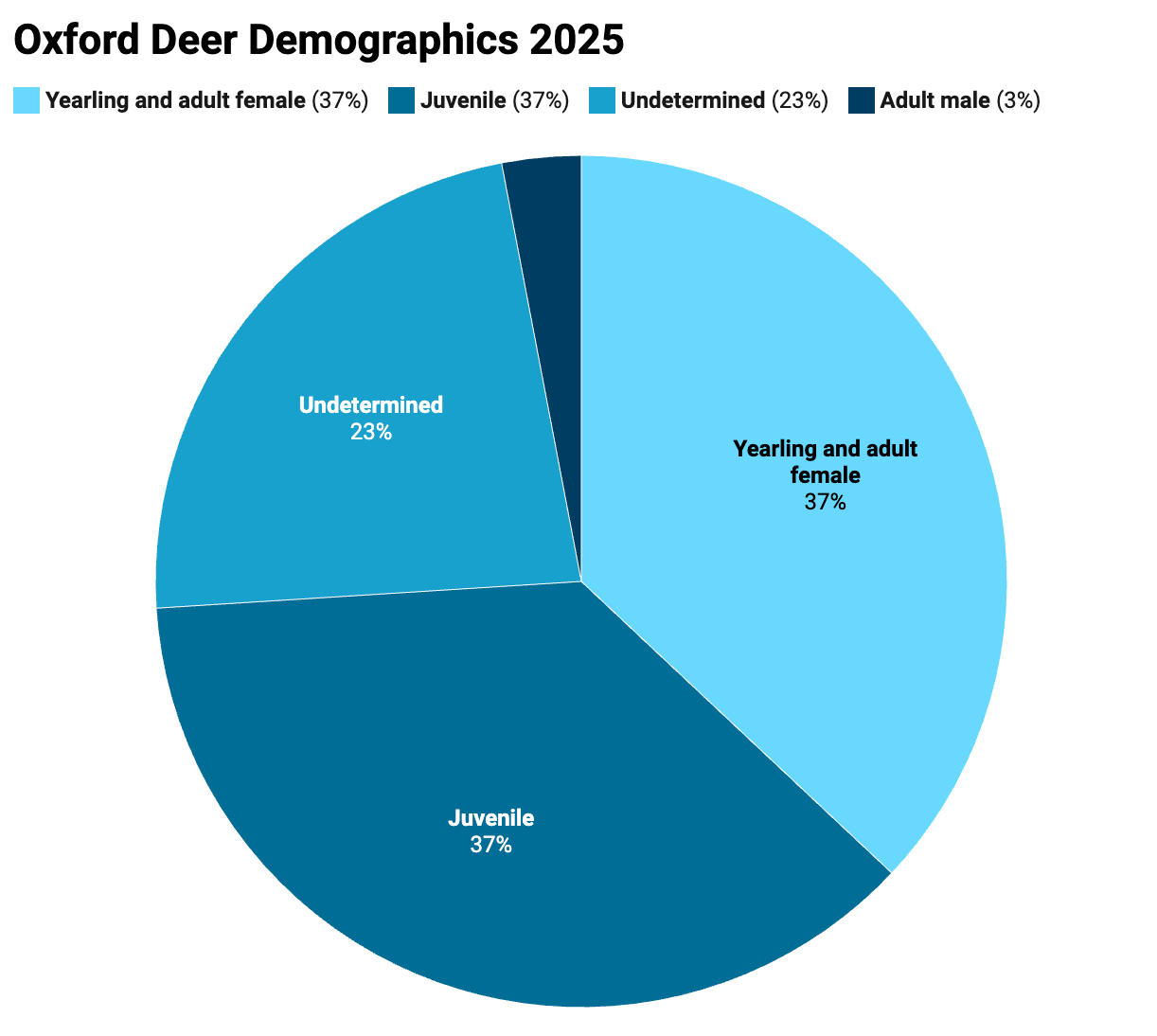 A pie chart showing that only 3% of deer in Oxford are adult male, with 37% of the population consisting of yearlings and adult females, 37% of the population consisting of juveniles and 23% of the population undetermined.