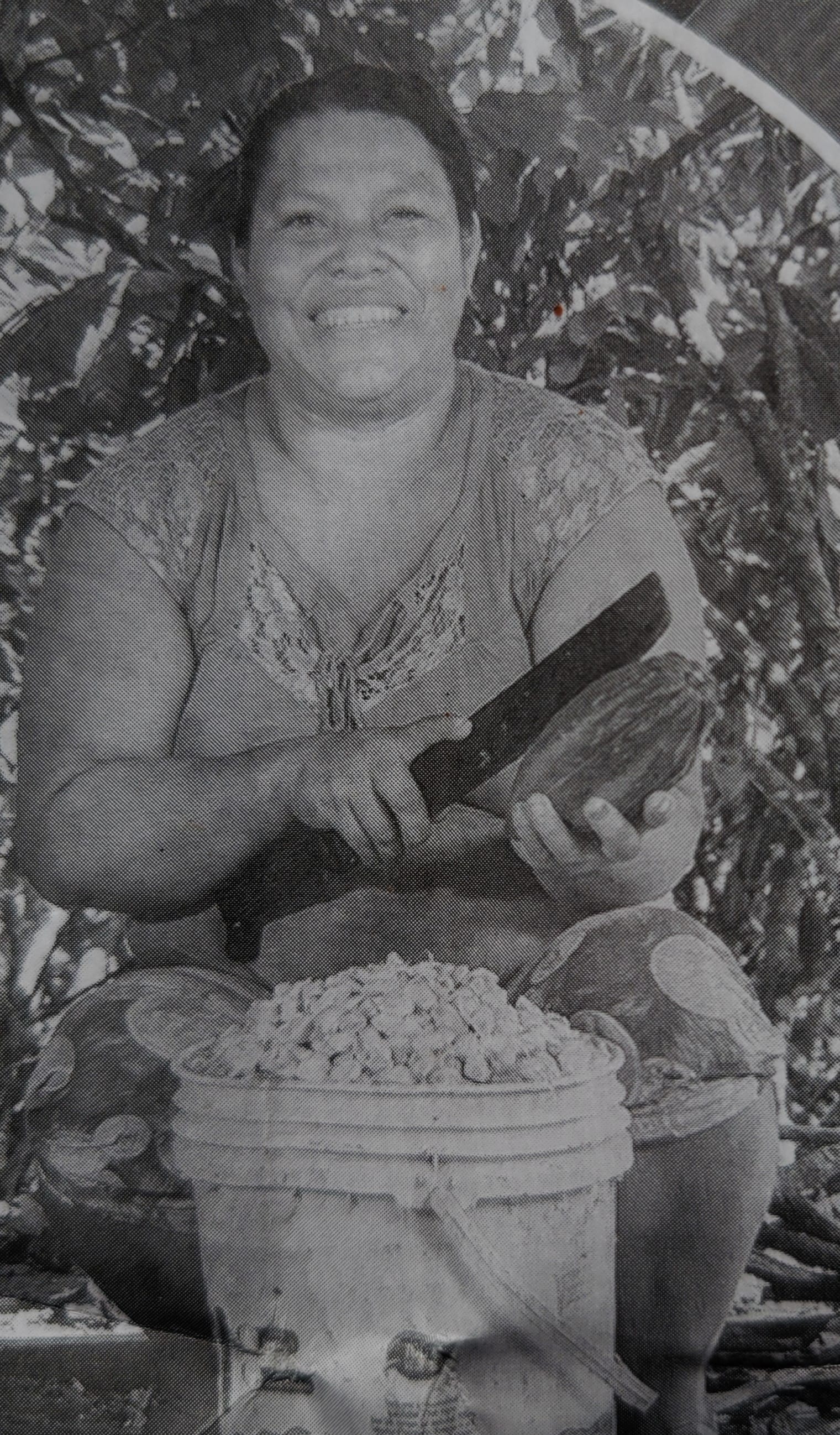 Oro Verde member-owner Orfith Satalaya Tapullima removing cacao beans from the pods.