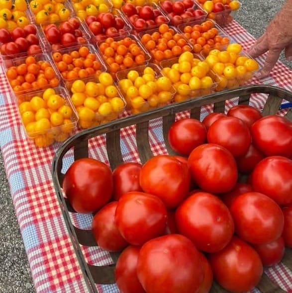 On My Plate: Tomatoes