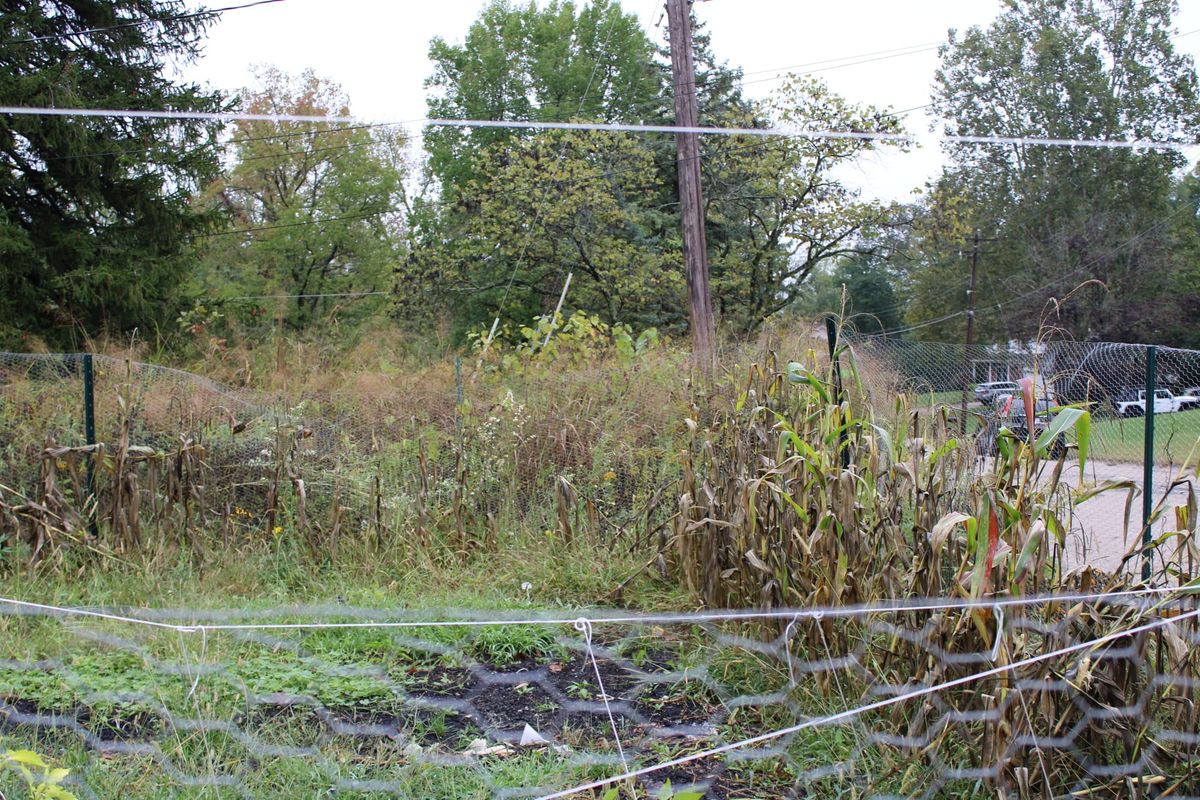 Noted ecologist, champion of natural yard movement to visit Oxford