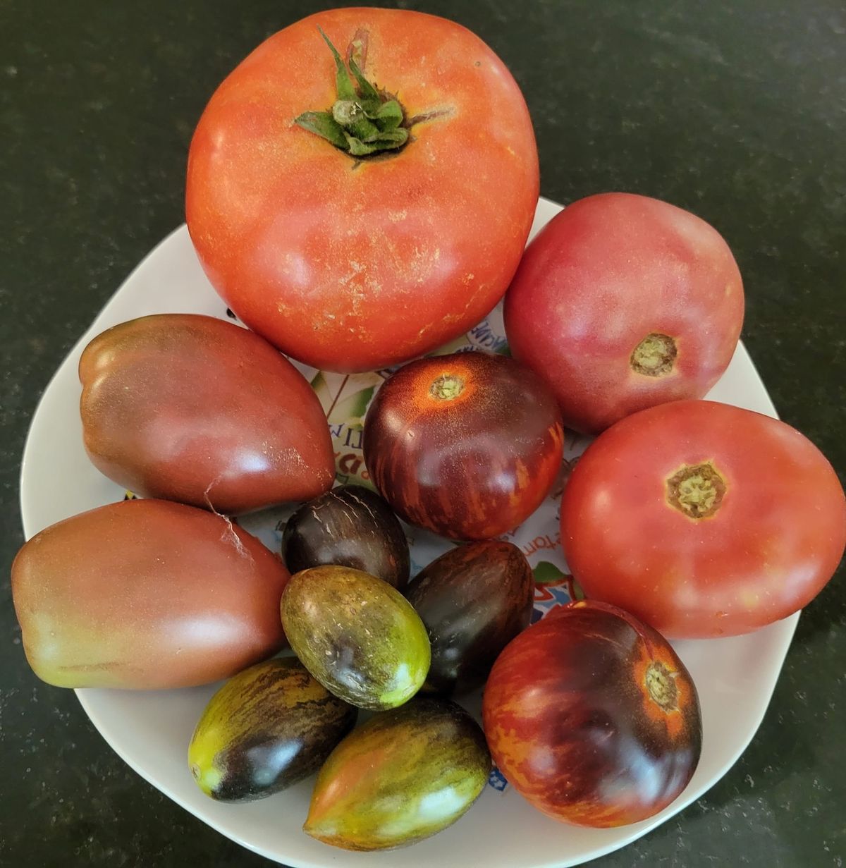 On My Plate: Tomatoes