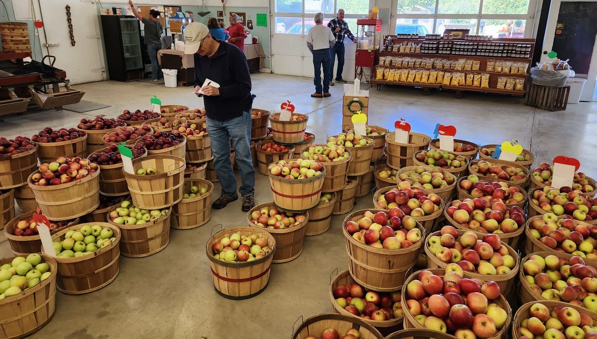 On My Plate: Downing Fruit Farm Fall Festival