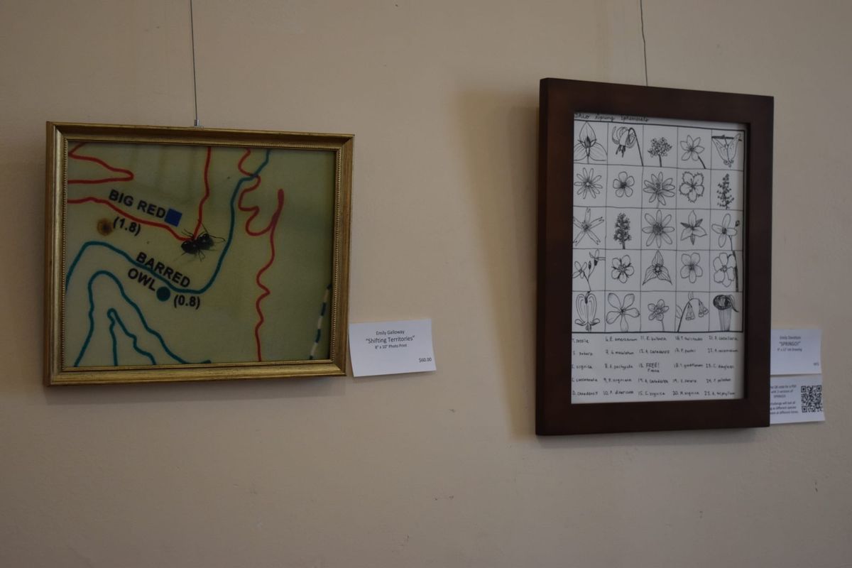 ‘Storytelling and art:’ Exploring climate change