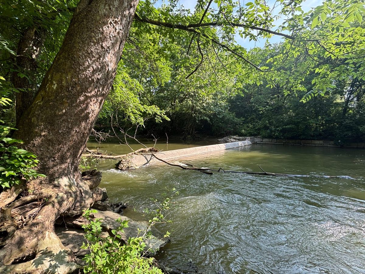 Four Mile Creek to undergo restoration project