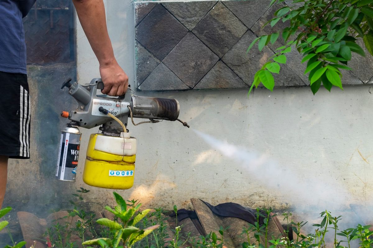 Wild Ones 101: Mosquito fogging: an effective way to kill butterflies, lightning bugs and other pollinators in your yard