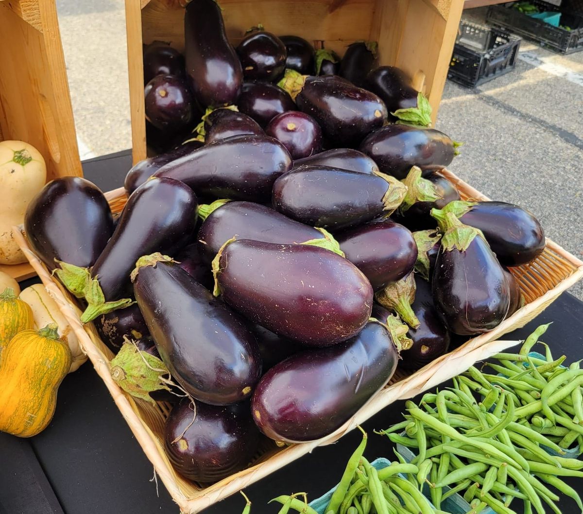 On My Plate: Eggplant